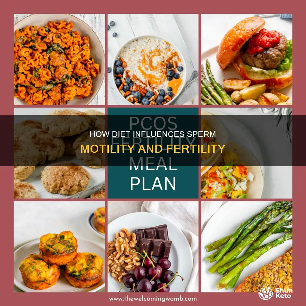 what diet increase sperm motility