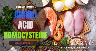 Unraveling the Dietary Link: Which Foods Boost Amino Acid Homocysteine?