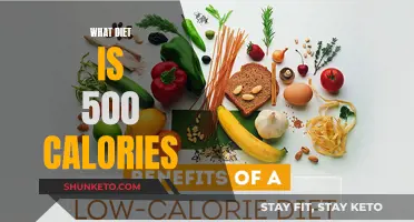 The 500-Calorie Diet: A Balanced Approach to Weight Loss