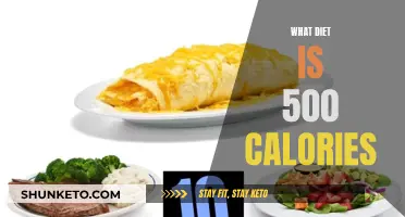 Extreme Dieting: 500-Calorie Plans Explored