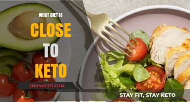 Exploring Low-Carb Diets Similar to Keto for Weight Loss
