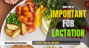 Lactation Diet: What Foods Help New Mothers?