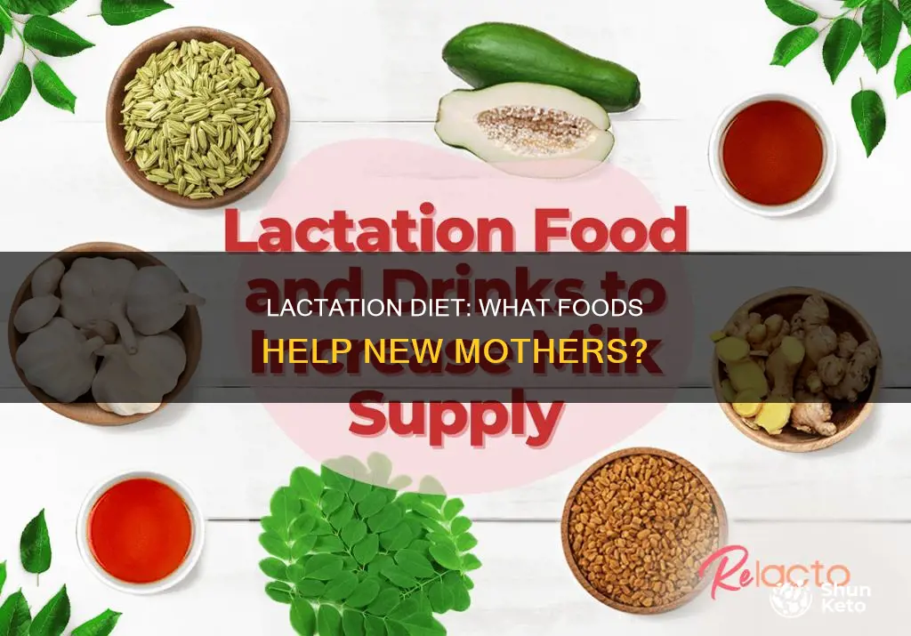 what diet is important for lactation
