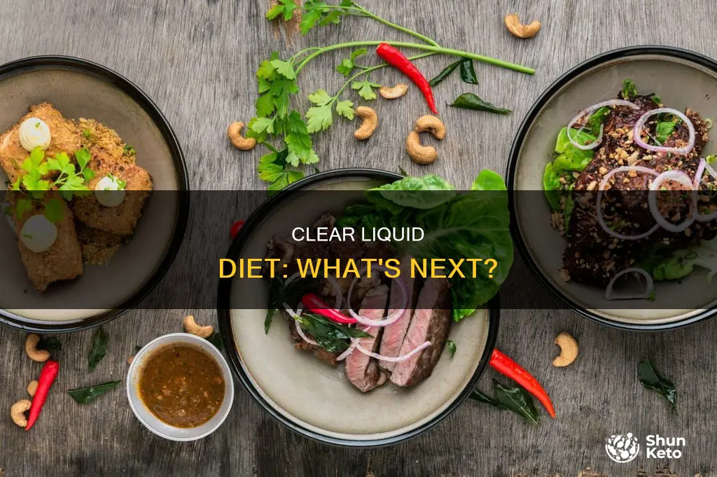 what diet is perscribed after a clear liquid diet