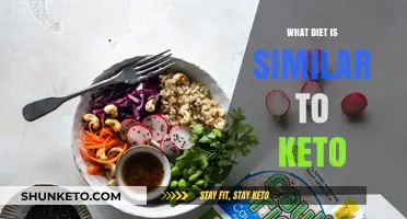 Exploring Low-Carb Alternatives: Diets Similar to Keto Explained