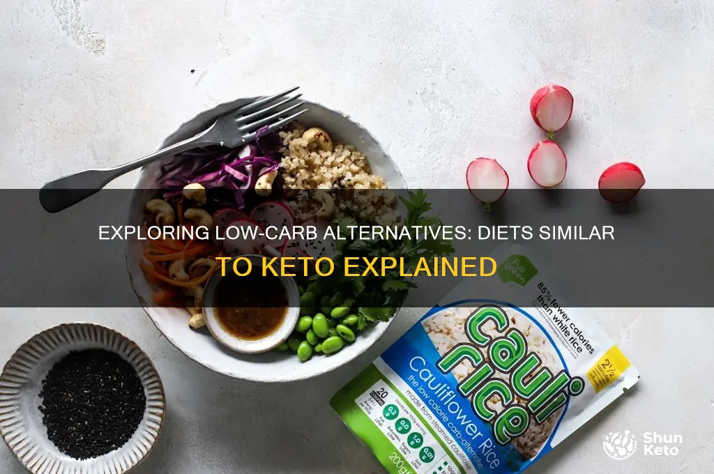 what diet is similar to keto