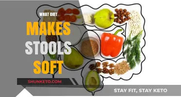 Soft Stools: The Best Diet to Follow