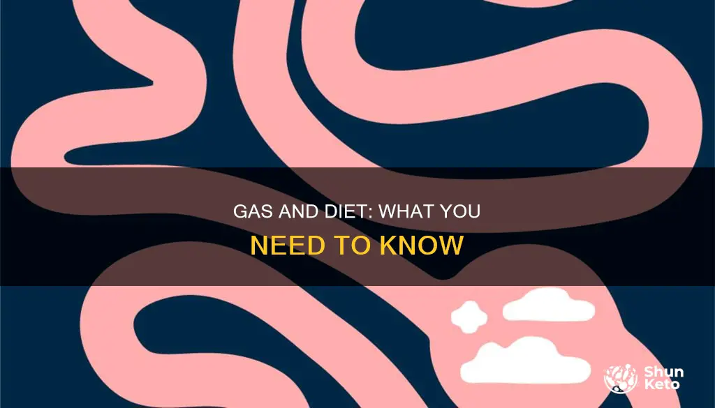 what diet makes you fart