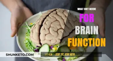 Brain Food: Diet for Optimal Brain Function