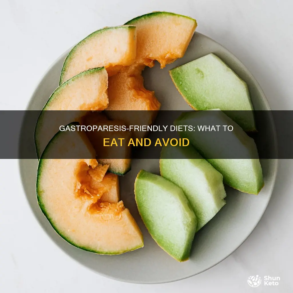 what diet ok for someone with gastroparesis