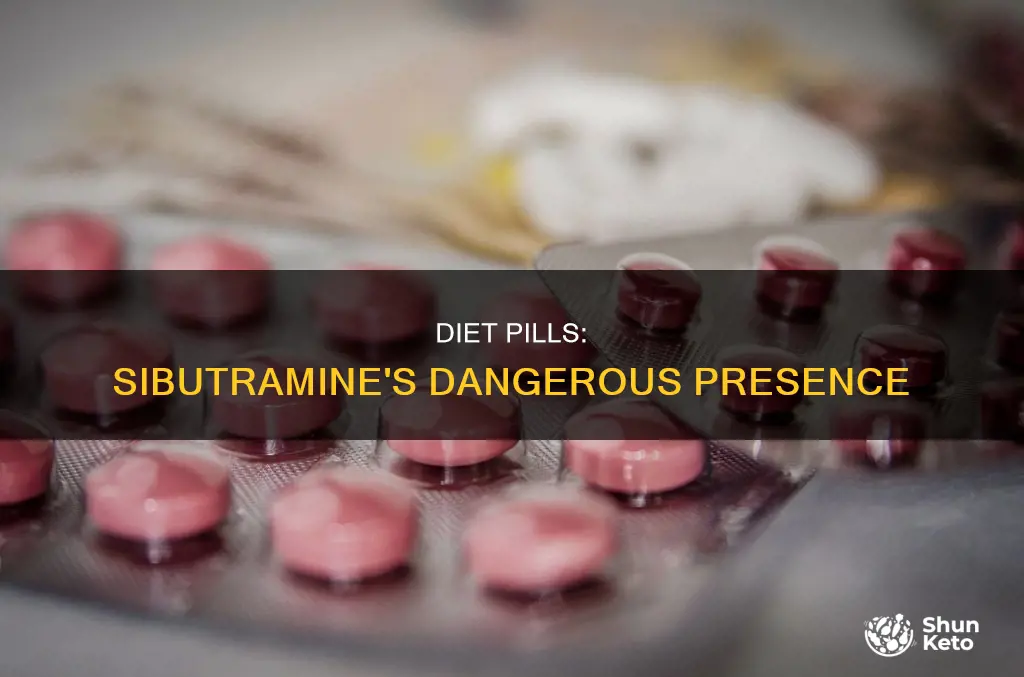 what diet pills contain sibutramine