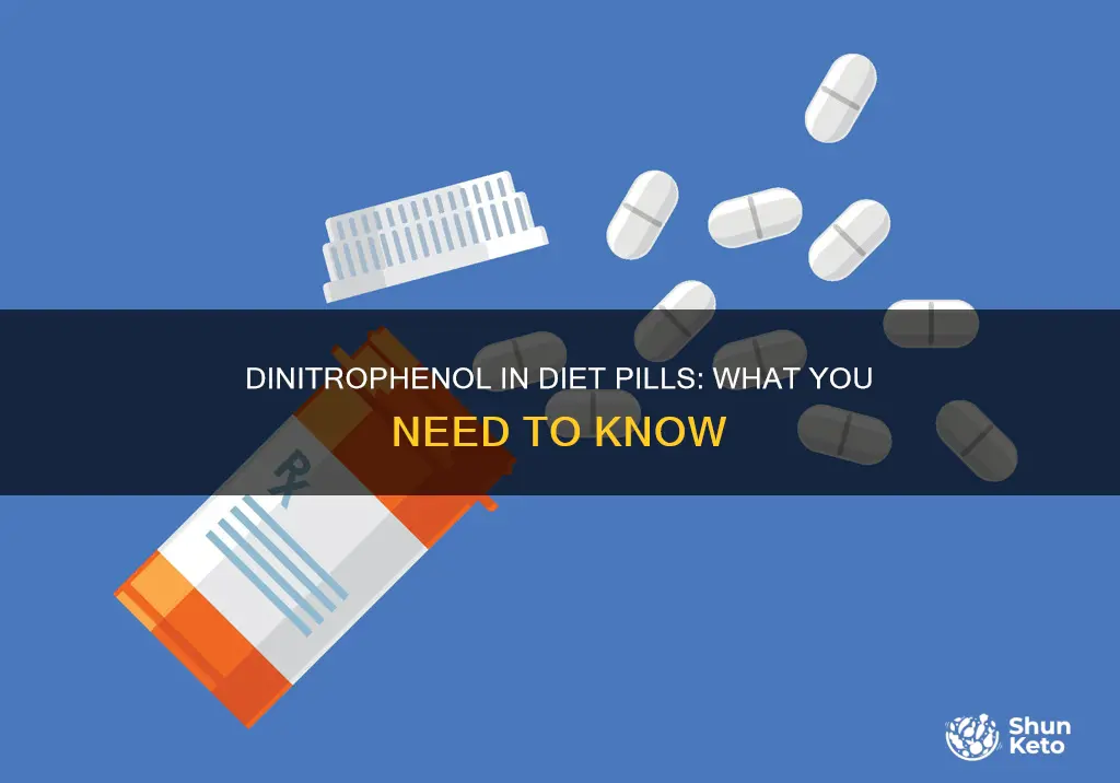 what diet pills have dinitrophenol
