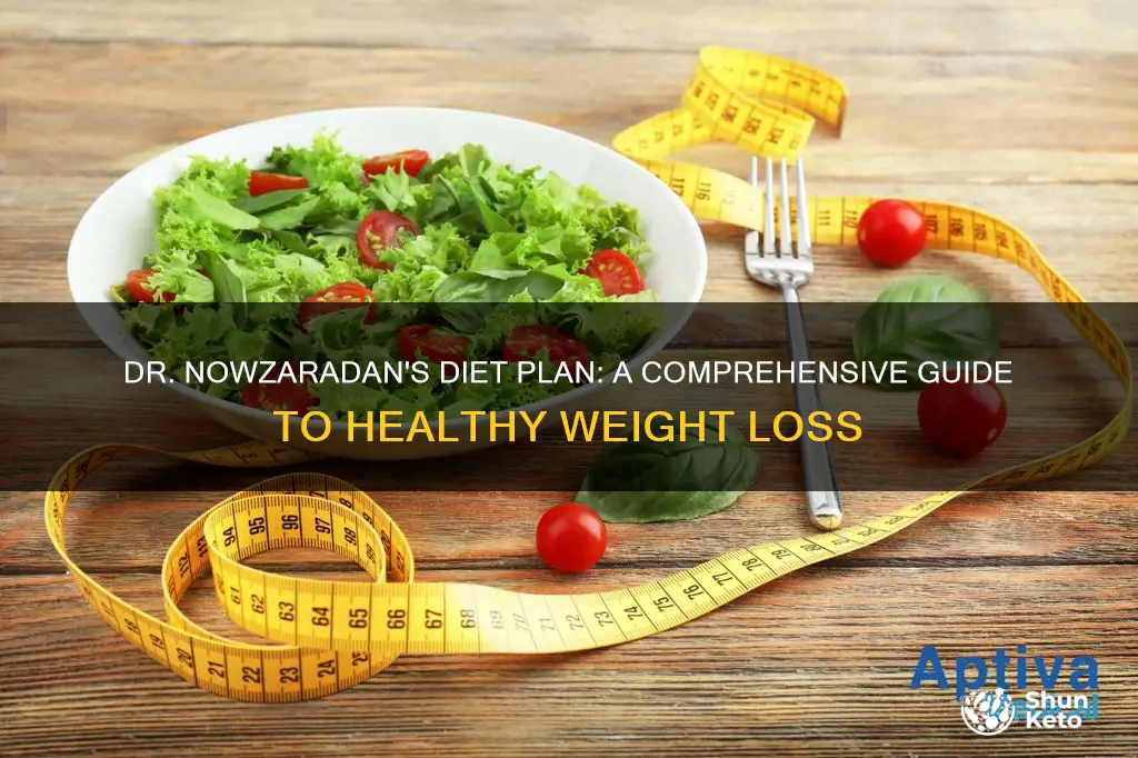 what diet plan does dr nowzaradan recommend