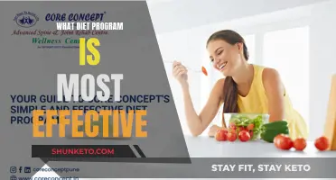 Effective Diet Programs: What Really Works?