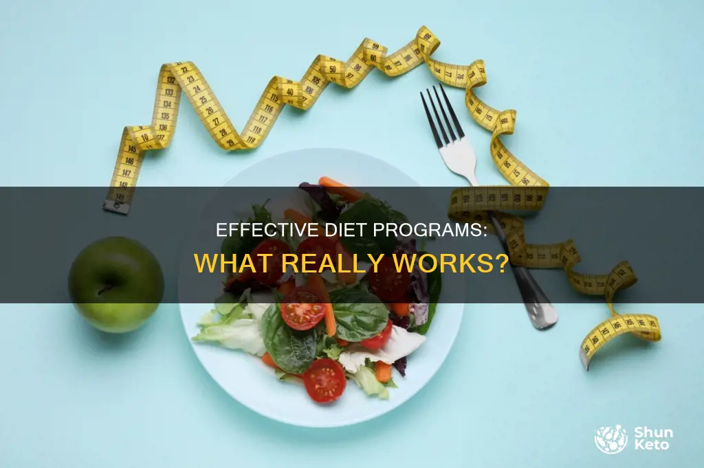 what diet program is most effective