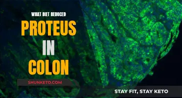 Dietary Strategies to Reduce Proteus in the Colon