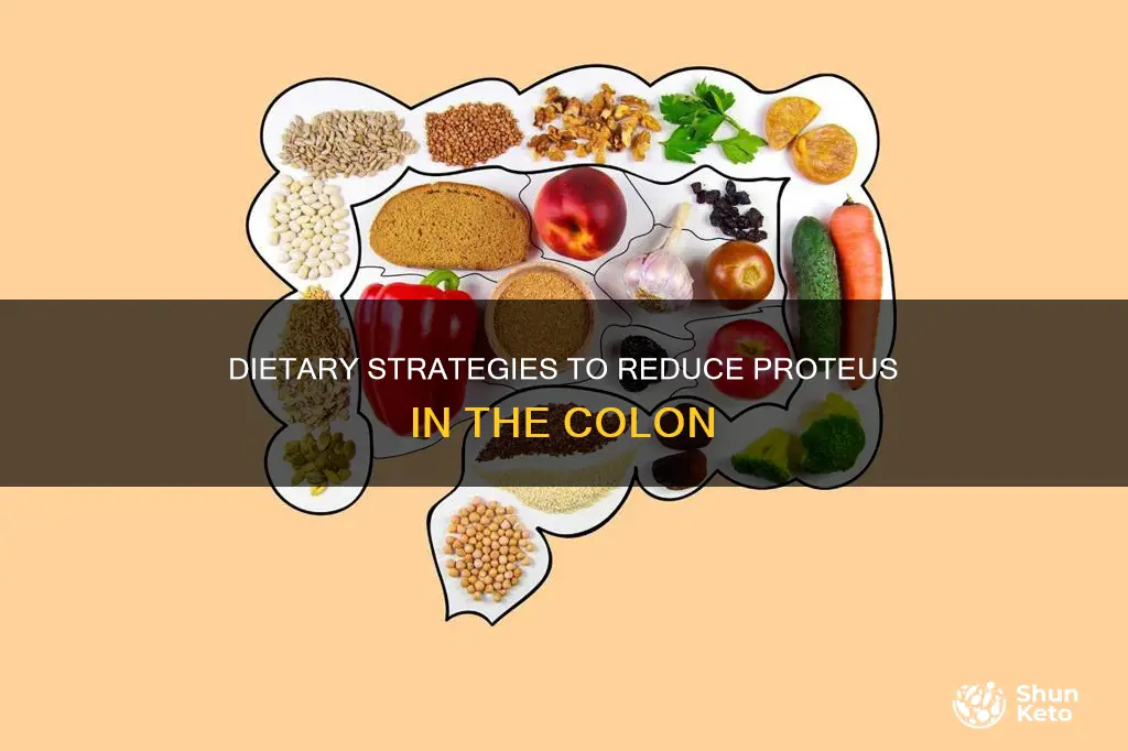 what diet reduced proteus in colon