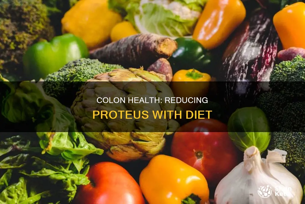what diet reduced proteus in colon