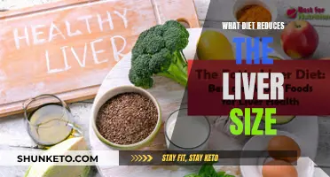 Liver Health: Dieting to Reduce Enlarged Liver