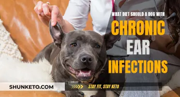 Chronic Ear Infections in Dogs: Dietary Solutions