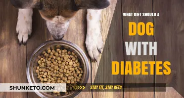 Diabetic Dogs: The Right Diet for Your Pet's Health