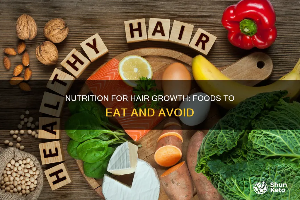 what diet should be taken to increase hair growth