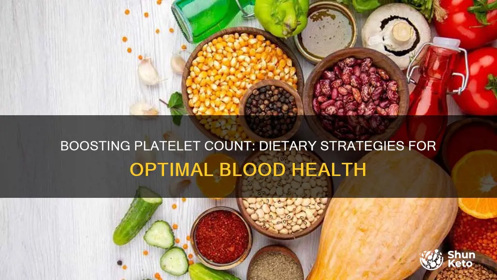 what diet should be taken to increase platelet count