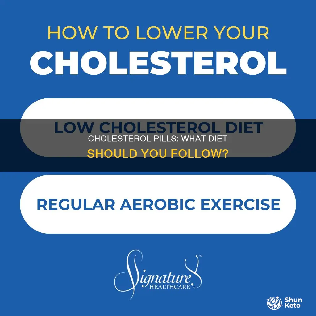 what diet should i do with a cholesterol pill