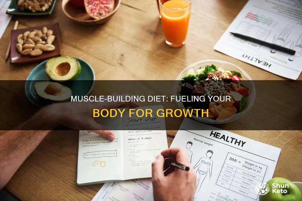 what diet should i follow to build muscle