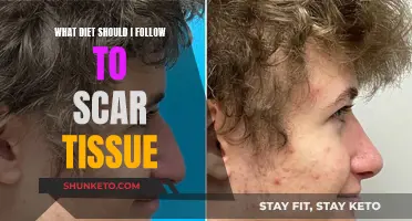 Healing Scars: The Role of Diet and Nutrition