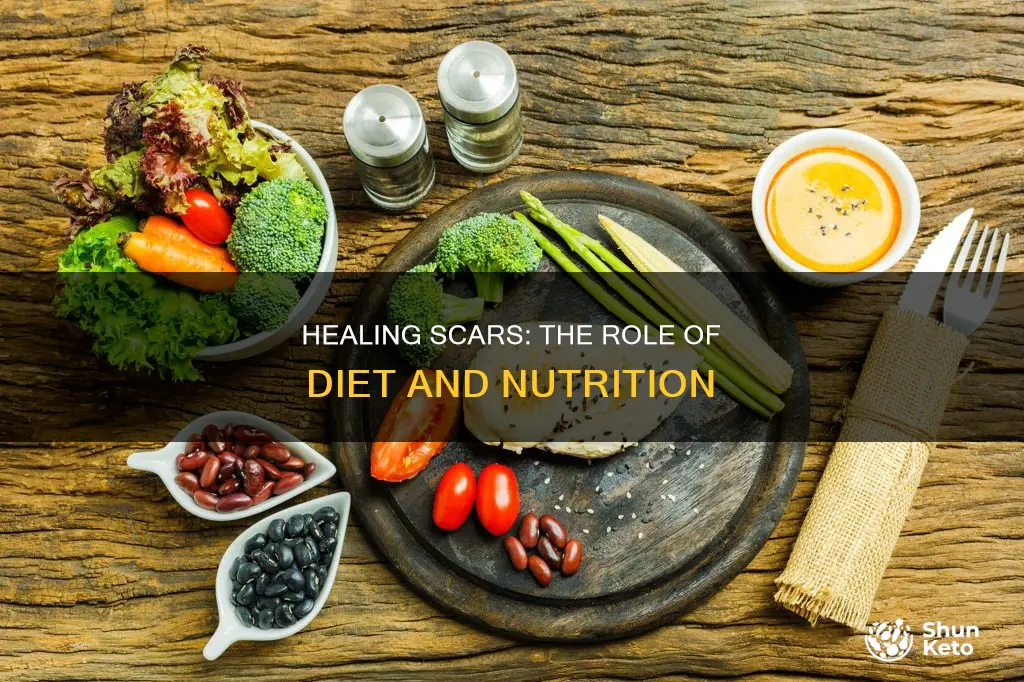 what diet should i follow to scar tissue