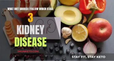 Kidney Health: Dietary Recommendations for Stage 3