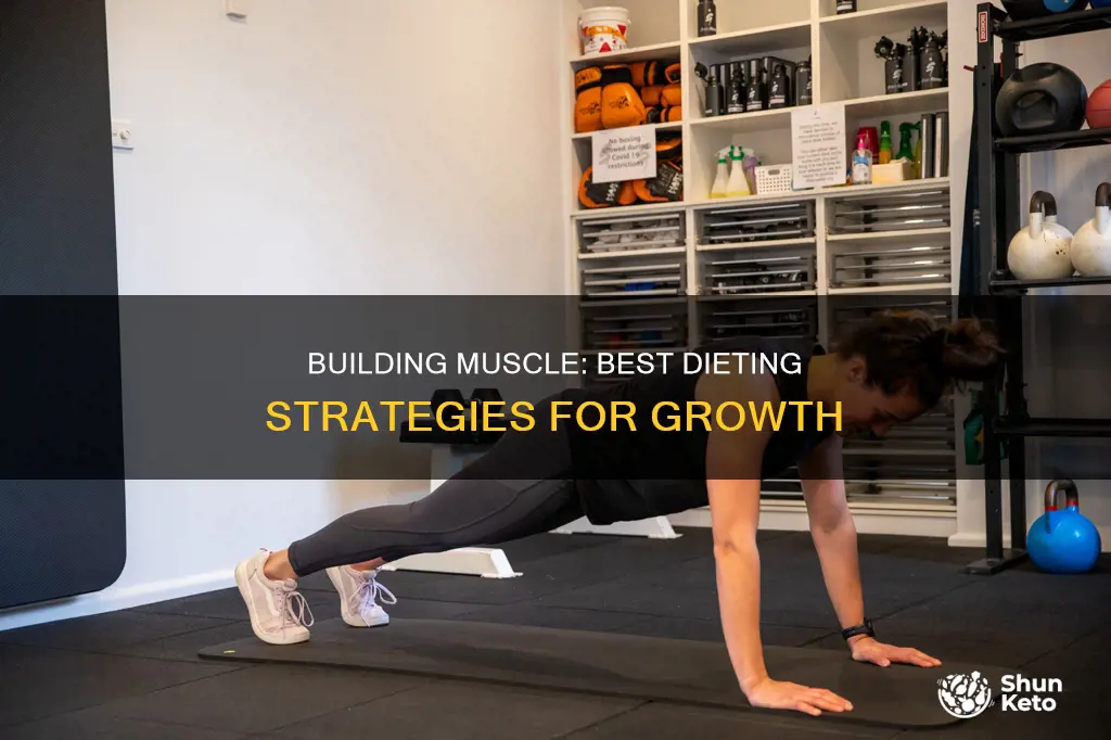 what diet should i go on to build muscle