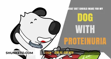 Proteinuria in Dogs: Customizing a Diet Plan