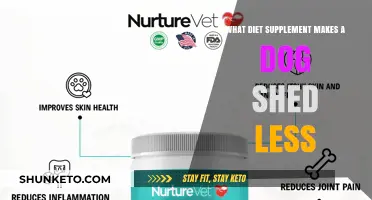 Supplements to Reduce Dog Shedding