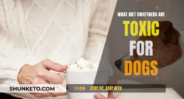 Sweetener Poison: Toxic Diet Treats Your Dog Should Avoid