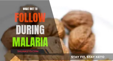 Malaria Management: Dietary Recommendations and Restrictions