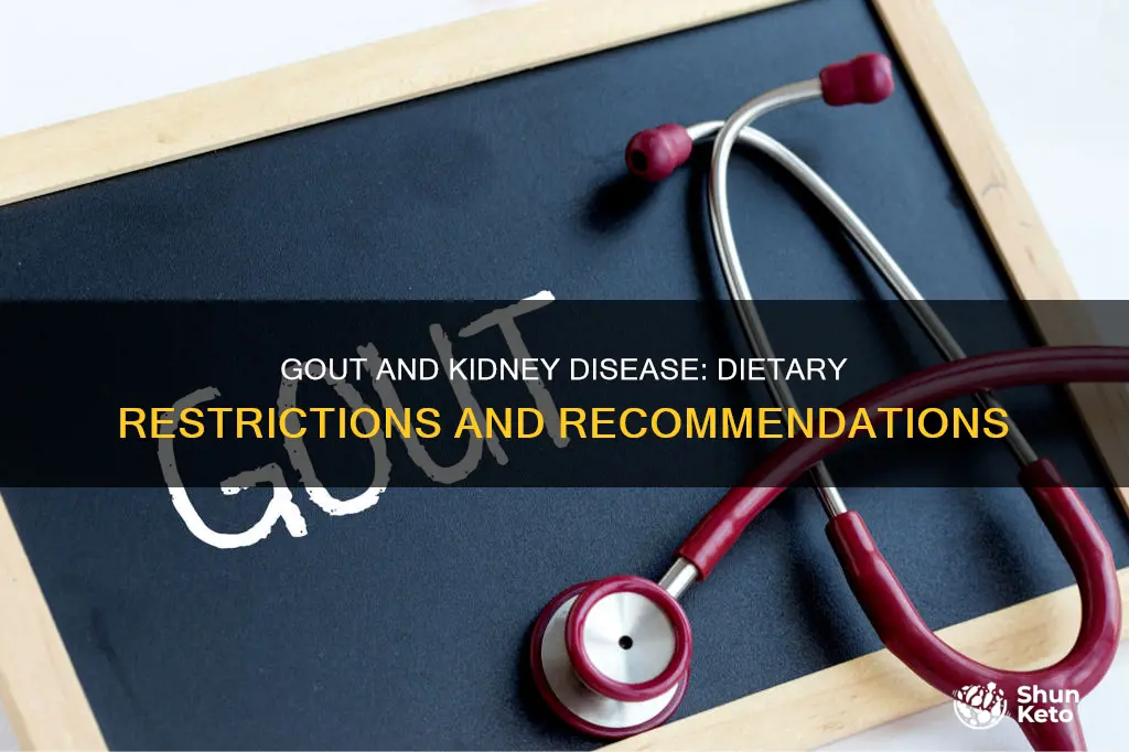 what diet to follow for chronic gout and kidney disease