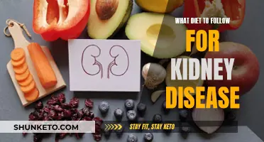 Kidney Disease and Diet: What You Should Eat