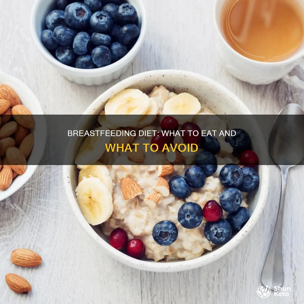 what diet to follow while breastfeeding