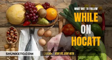 Hocatt-Friendly Diets: Eating Right for Better Results