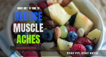 Dietary Strategies to Alleviate Muscle Soreness and Pain