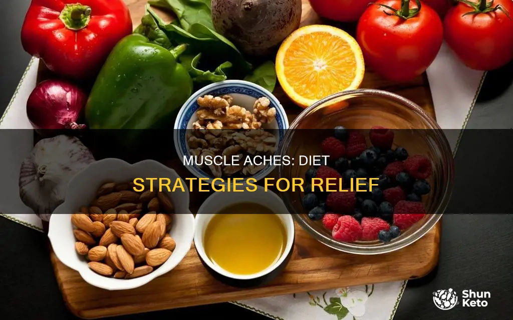 what diet to take to reduce muscle aches