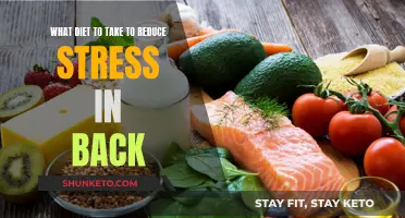 Stress-Relieving Diets: Easing Back Pain Through Nutrition