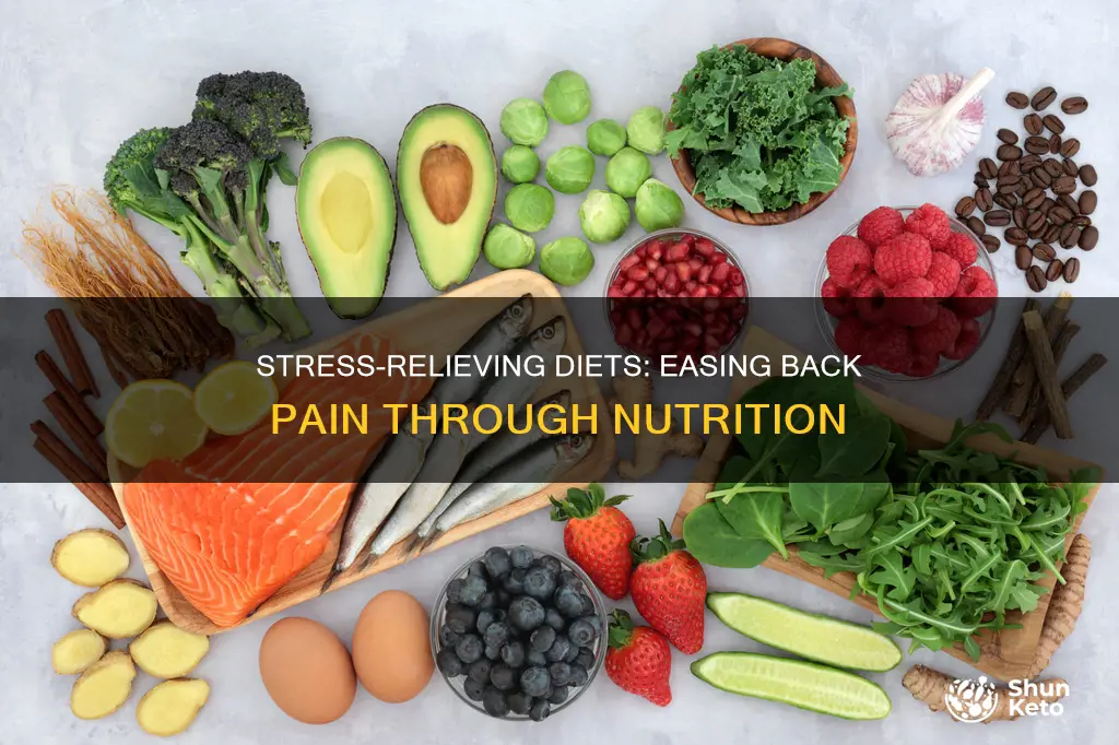 what diet to take to reduce stress in back