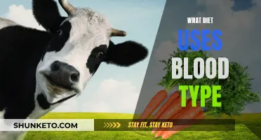 Blood Type Diet: Personalized Nutrition for Your Body