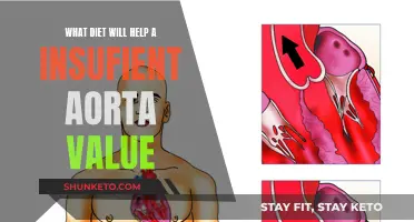 Heart-Healthy Diets for Aortic Valve Issues