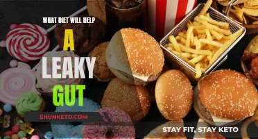 Healing Leaky Gut: The Right Diet for You