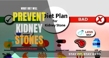 Dietary Choices to Avoid Kidney Stones: A Comprehensive Guide