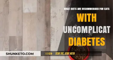 Managing Cat Diabetes: Recommended Diets for Treatment